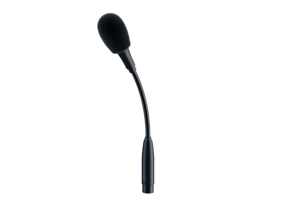 Mic 1